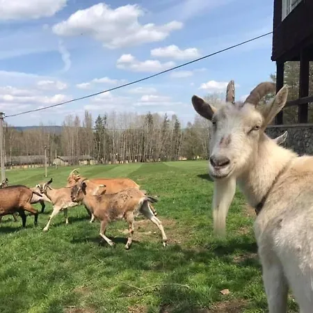 S Dusi Feriehus Beroun (Central Bohemian)