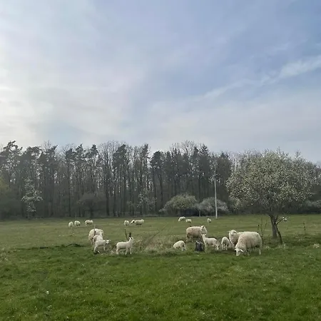 S Duší Prázdninový dům Beroun (Central Bohemian)