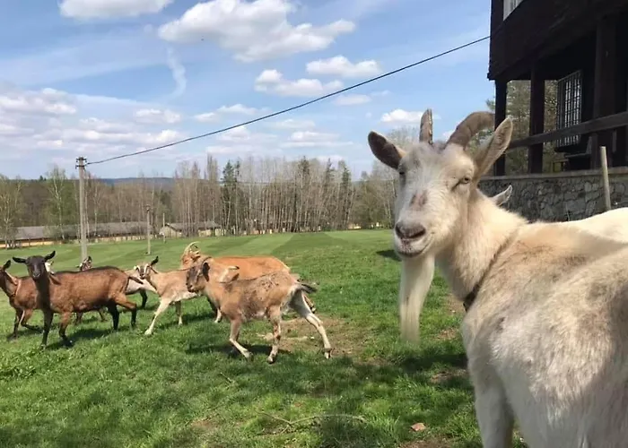 S Dusi بيت للعطل بيرون