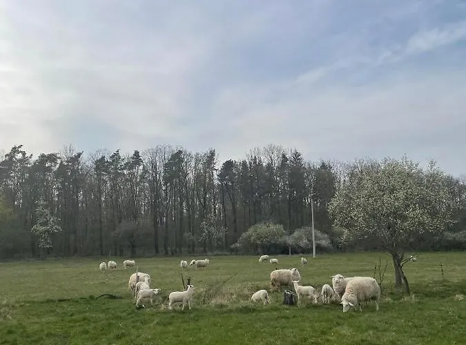 S Dusi Feriehus Beroun (Central Bohemian)